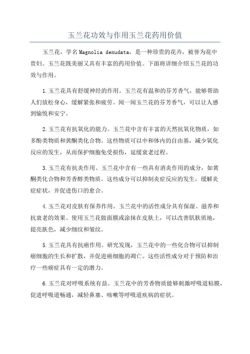 玉兰花功效与作用玉兰花药用价值