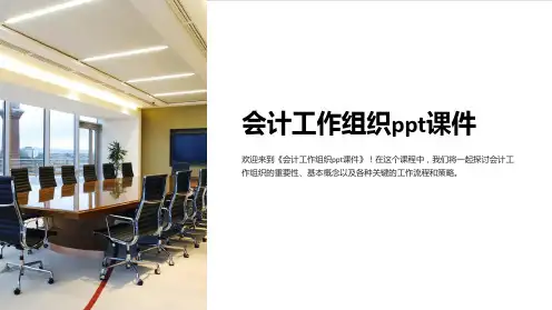 会计工作组织ppt课件