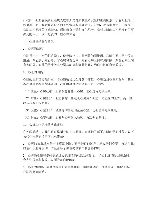 心脏的工作原理实践心得