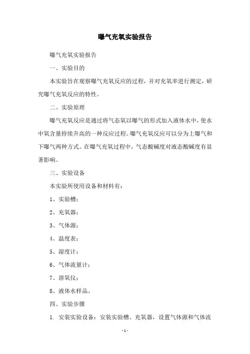 曝气充氧实验报告