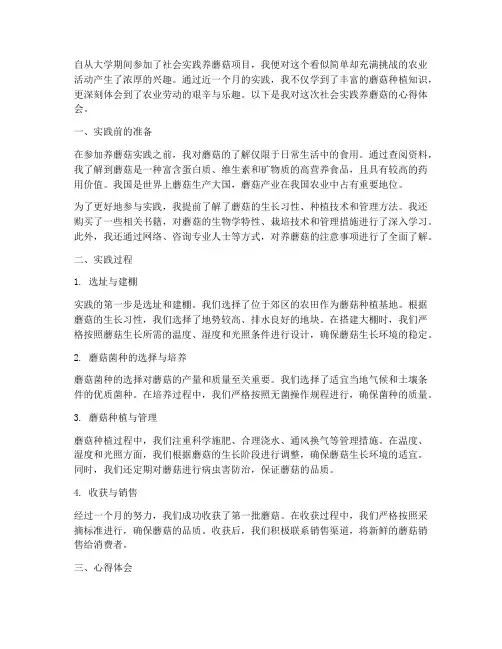 社会实践养蘑菇心得体会