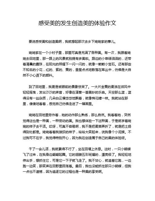 感受美的发生创造美的体验作文