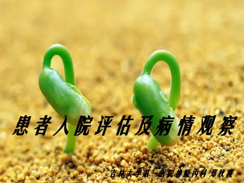 《患者入院评估》PPT幻灯片PPT
