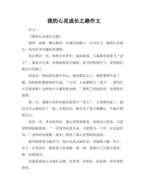 我的心灵成长之路作文