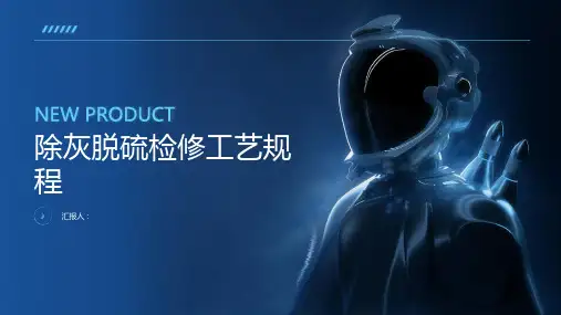 除灰脱硫检修工艺规程