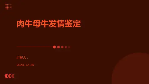 肉牛母牛发情鉴定