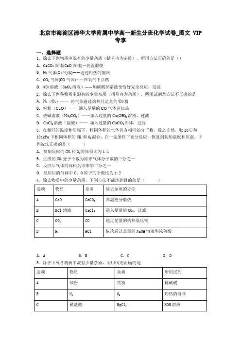 北京市海淀区清华大学附属中学高一新生分班化学试卷_图文 VIP专享