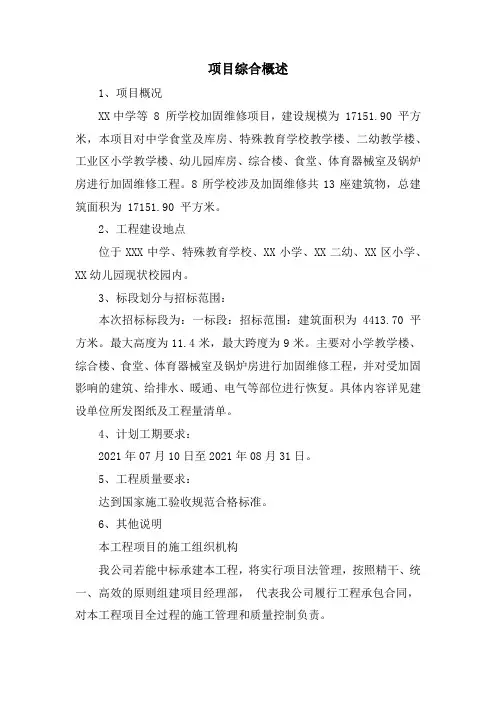 项目综合概述