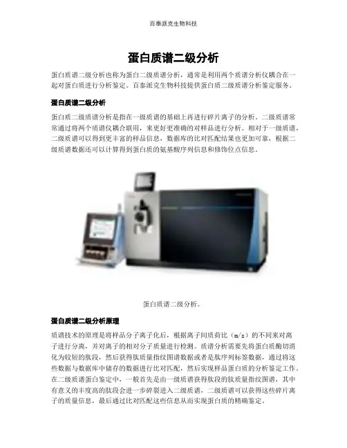 蛋白质谱二级分析