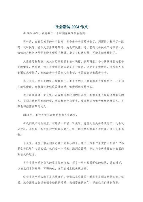 社会新闻2024作文