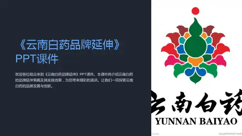 《云南白药品牌延伸》课件