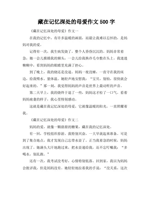 藏在记忆深处的母爱作文500字