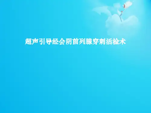 超声引导经会阴前列腺穿刺活检术  ppt课件