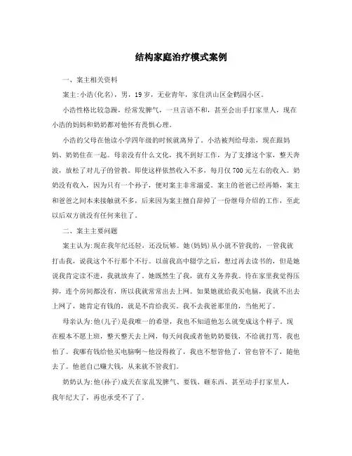结构家庭治疗模式案例
