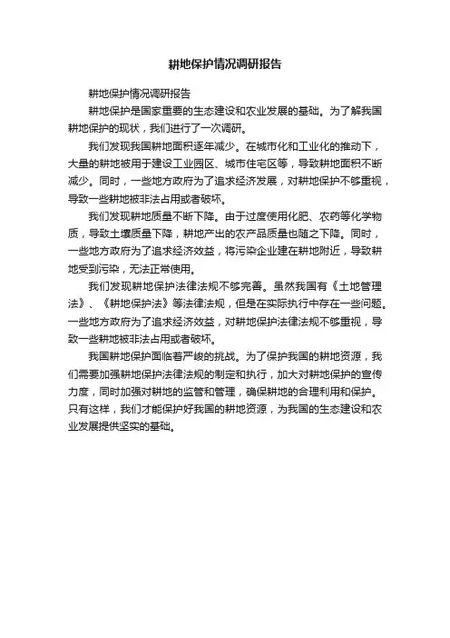 耕地保护情况调研报告
