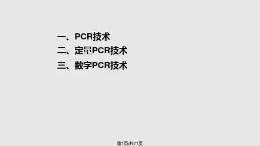 PCR技术教程PPT课件