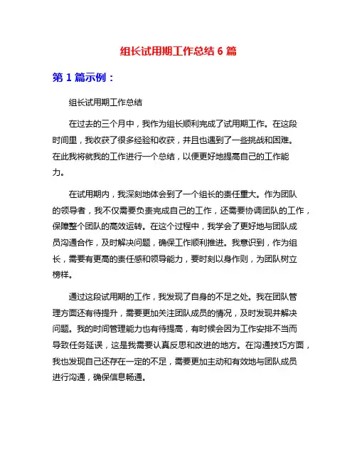 组长试用期工作总结6篇