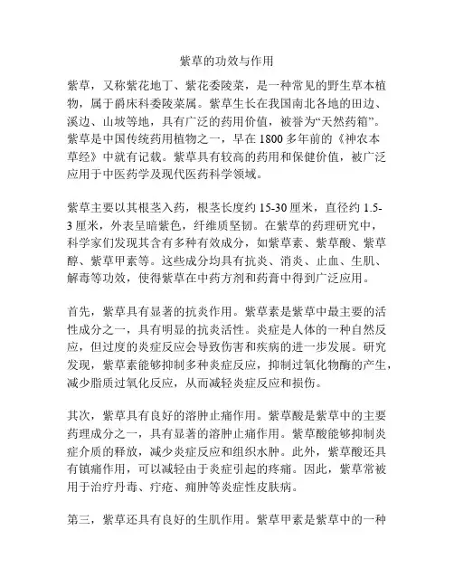 紫草的功效与作用