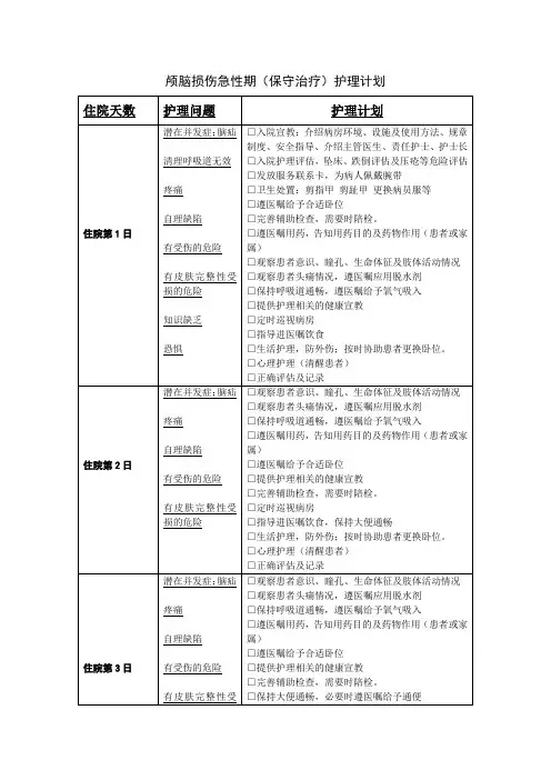 颅脑损伤急性期护理计划