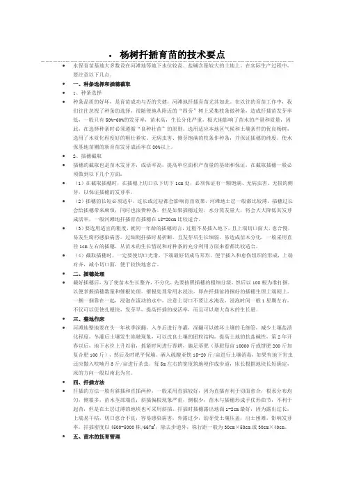 杨树扦插育苗的技术要点