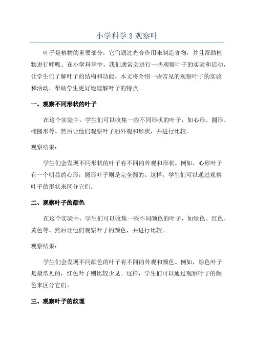 小学科学3观察叶