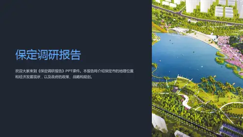 《保定调研报告》课件