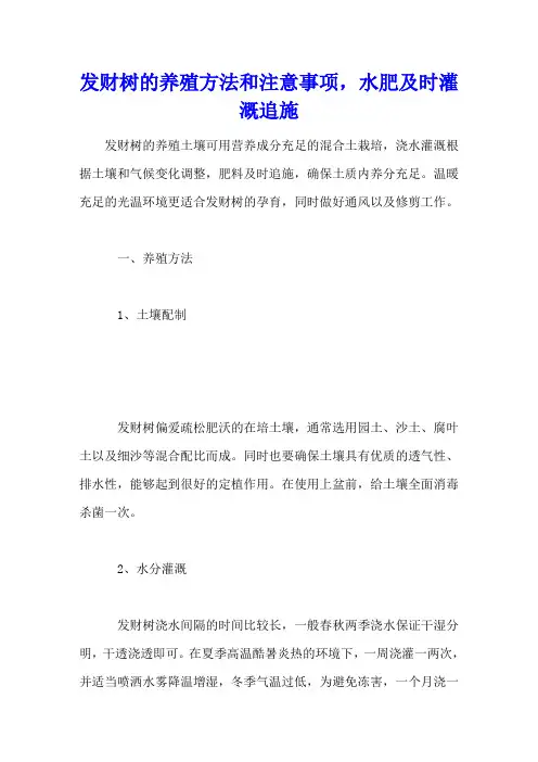 发财树的养殖方法和注意事项,水肥及时灌溉追施