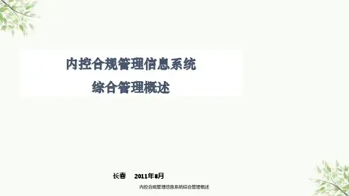 内控合规管理信息系统综合管理概述课件