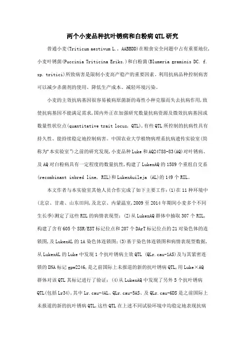 两个小麦品种抗叶锈病和白粉病QTL研究