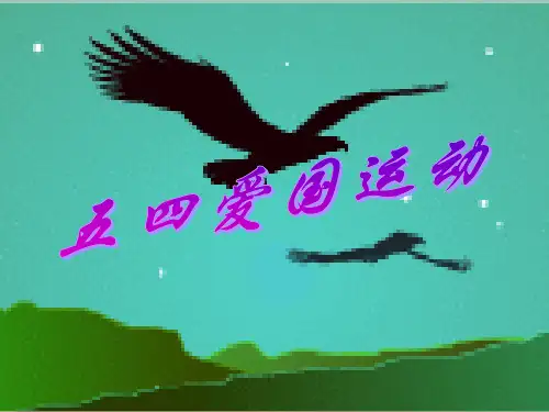 五四运动的背景斗争过程历史意义及评价[1]ppt课件