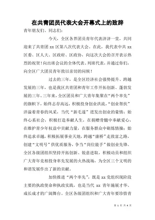 在共青团员代表大会开幕式上的致辞