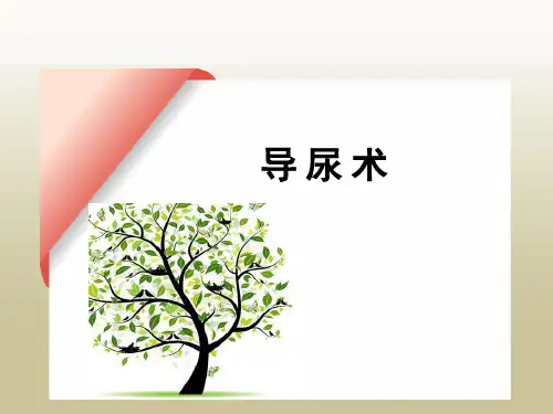导尿术(讲课)【2024版】