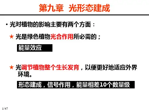 植物生理学：009 光形态建成