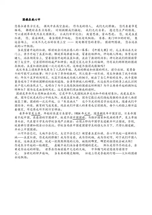 国旗在我心中