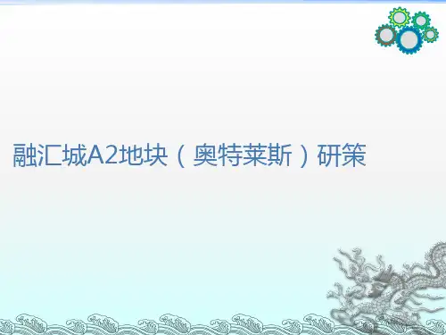 (奥特莱斯)定位ppt课件