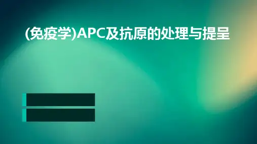 (免疫学)APC及抗原的处理与提呈