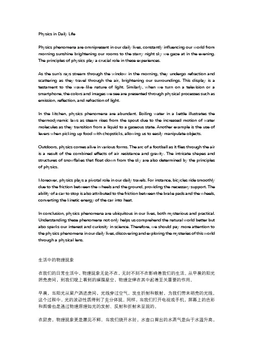 生活中的物理现象八年级作文六百字