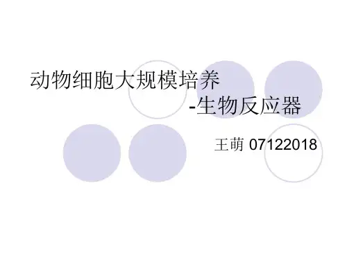 生物反应器