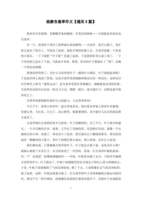精选观察含羞草作文【通用5篇】