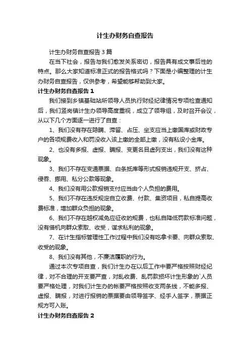 计生办财务自查报告