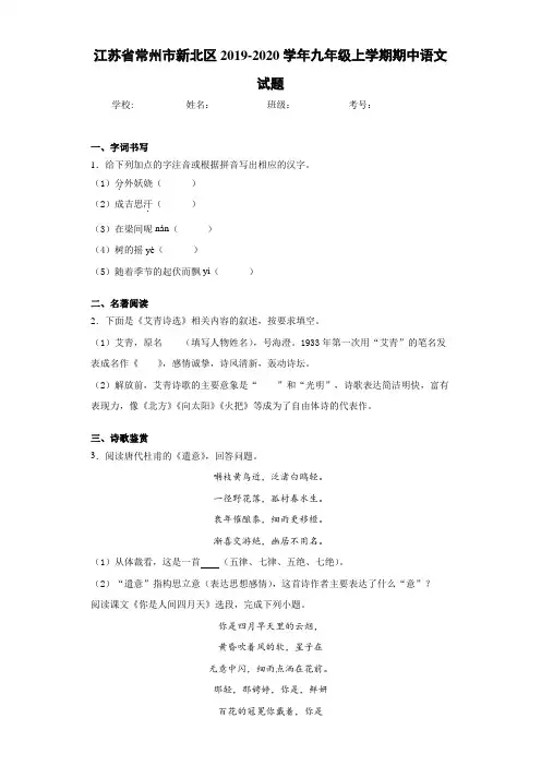 江苏省常州市新北区2020~2021学年九年级上学期期中语文试题