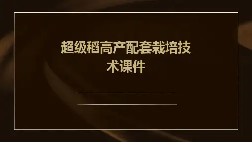 超级稻高产配套栽培技术课件