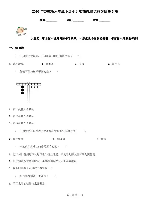 2020年苏教版六年级下册小升初模拟测试科学试卷B卷