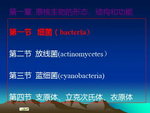 第一章 原核微生物的形态结构1_PPT幻灯片