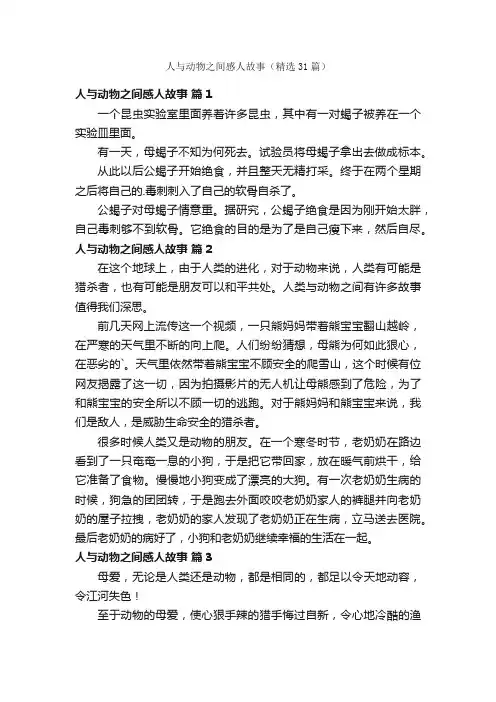 人与动物之间感人故事（精选31篇）
