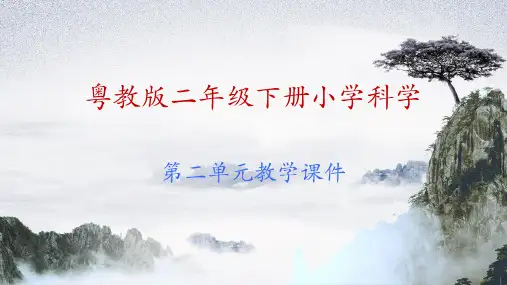 粤教版二年级下册科学第2单元教学课件