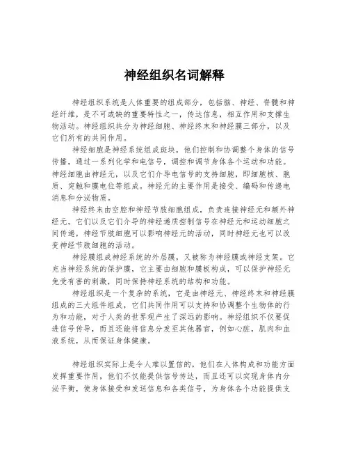 神经组织名词解释