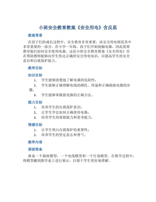 小班安全教育教案《安全用电》含反思