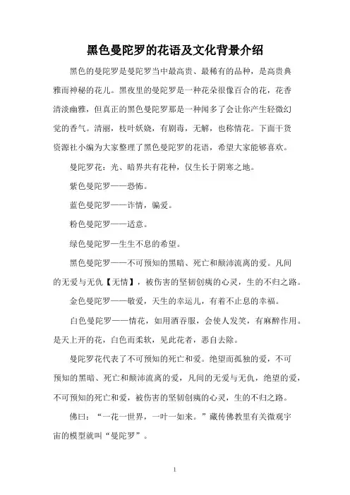 黑色曼陀罗的花语及文化背景介绍