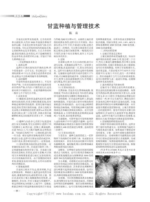 甘蓝种植与管理技术